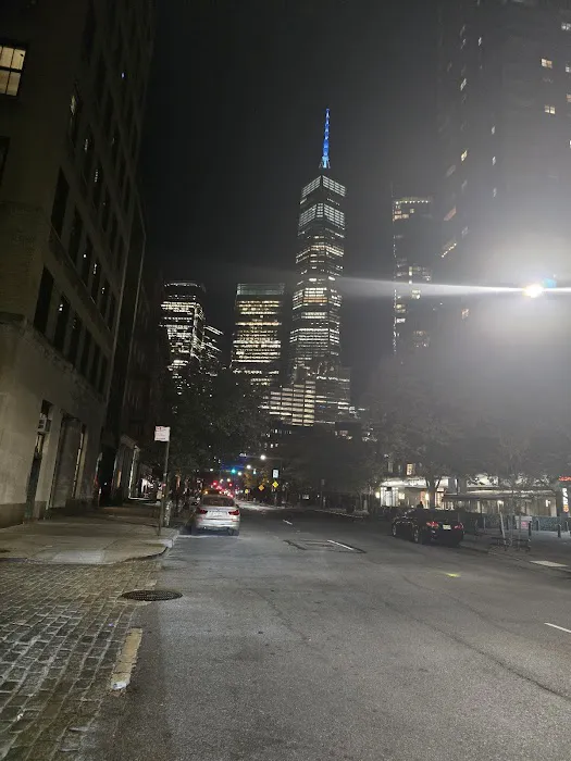 Joseph Carini Carpets Picture 5