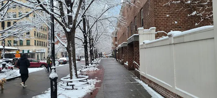 Joseph Carini Carpets Picture 9