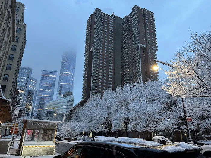 Joseph Carini Carpets Picture 8