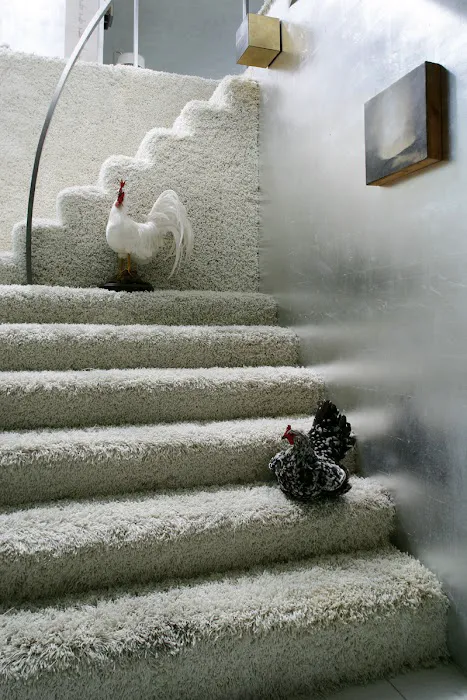 Aronson's Floor Covering Picture 10