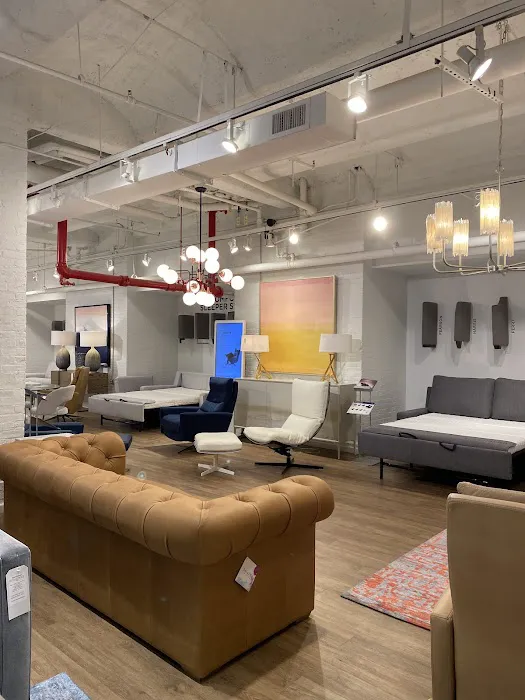 Safavieh Home Furnishings Picture 5