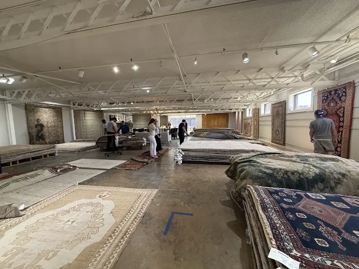 Eliko Rug Gallery Picture 8