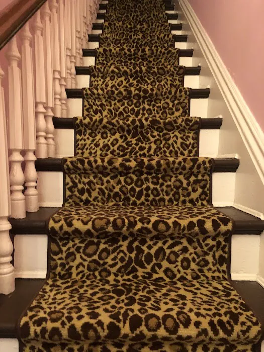 Caesar's Carpet Center Picture 4