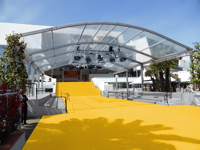 Red Carpet Runner Picture 4