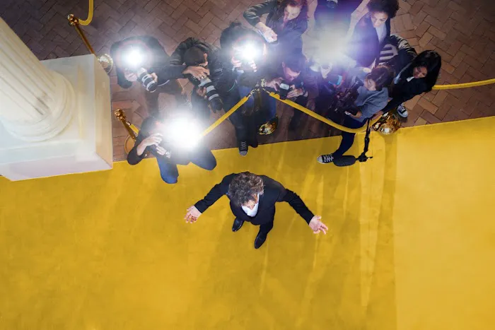 Red Carpet Runner Picture 10