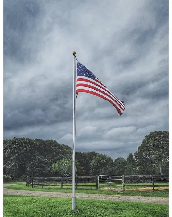 Galerie Shabab Picture 5