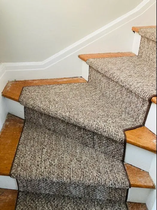 Frank's Carpet Picture 7