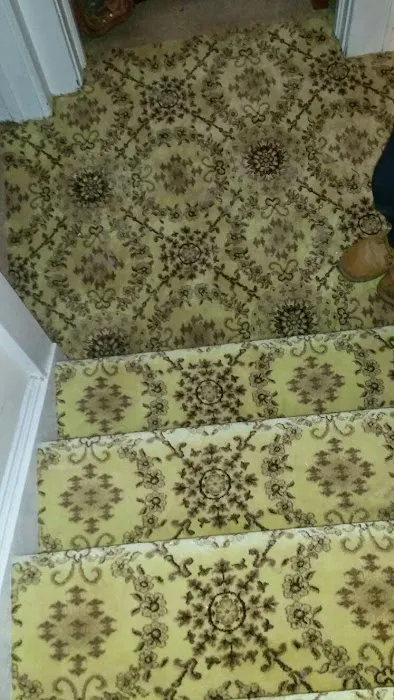 Frank's Carpet Picture 2