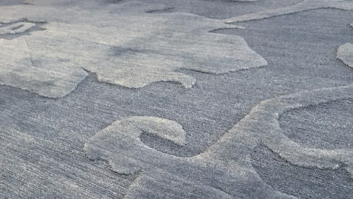 Odegard Carpets Picture 2