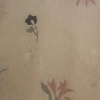 Flat Rate Carpet ico