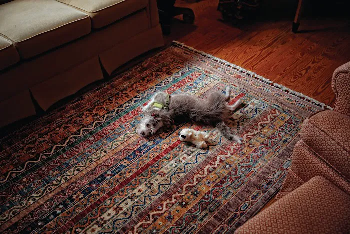 Hasan's Rugs Picture 6