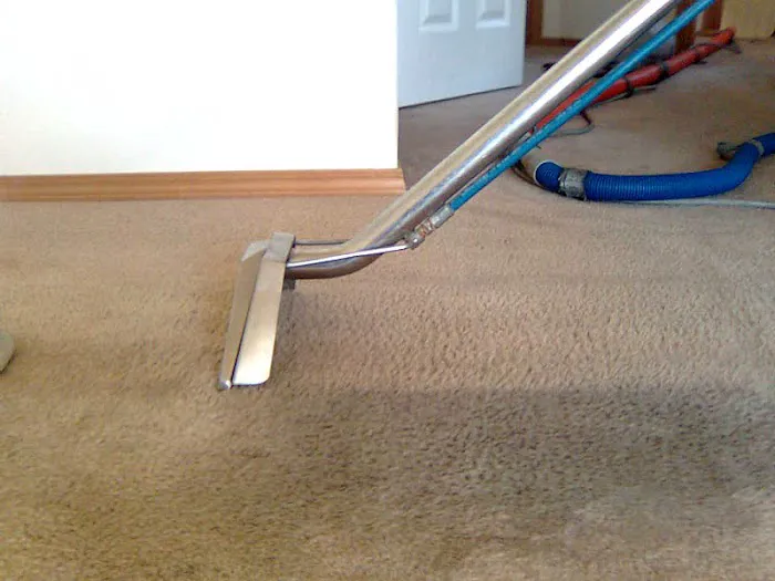 1888 NY Carpet Picture 4