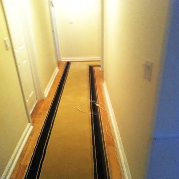 New York Expo Carpet & Flooring Picture 5