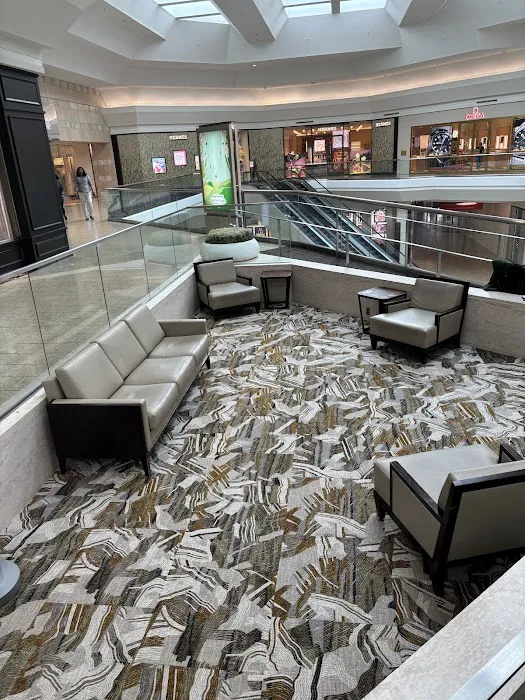 Carpet Kingdom Picture 8