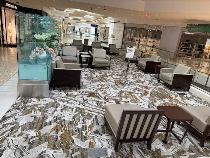 Carpet Kingdom Picture 3