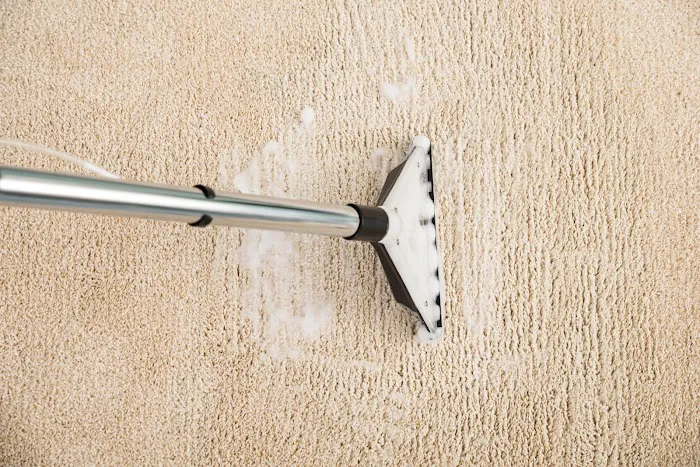 SI Carpeting Picture 8