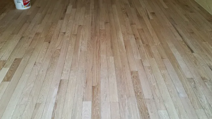 Richmond Hardwood Sanding Picture 1