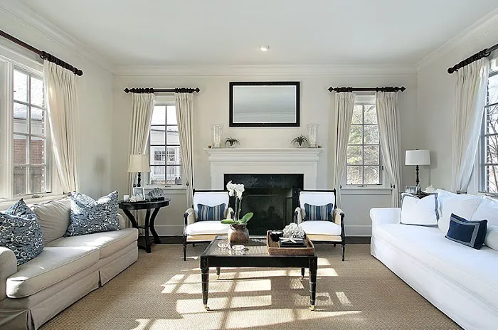 Carpet Cleaner Staten Island Picture 5