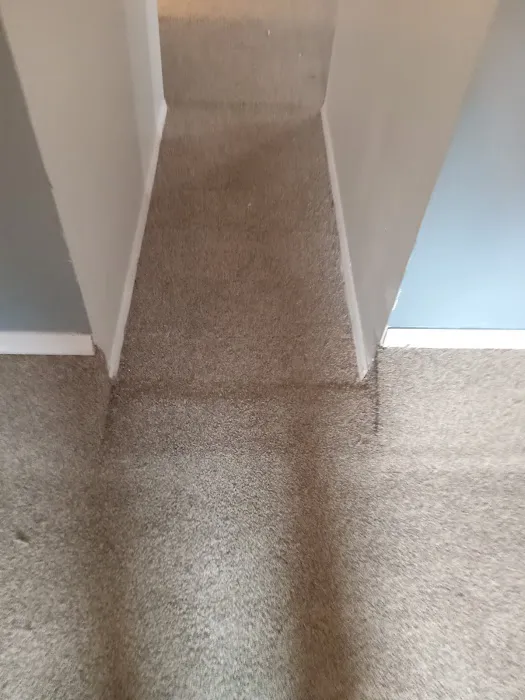 HOLLYWOOD CUSTOM CARPET SERVICE OF LINDEN NJ Picture 3