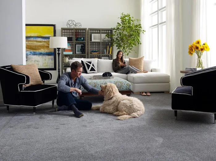 Walls to Floors, Inc Picture 4