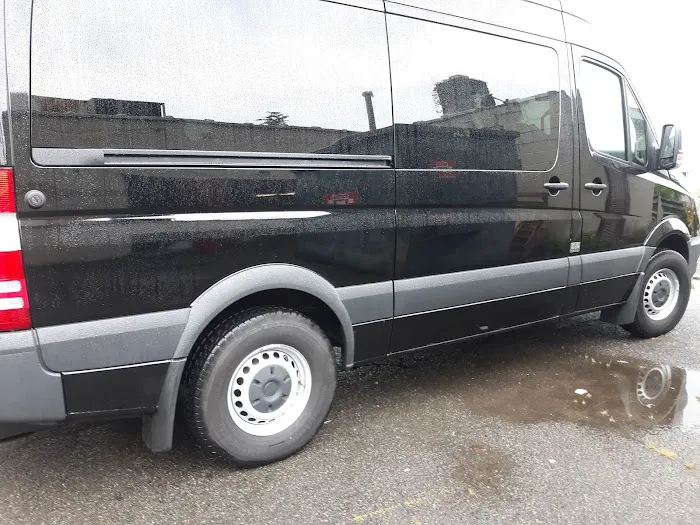 Starr Oriental Rugs Picture 2