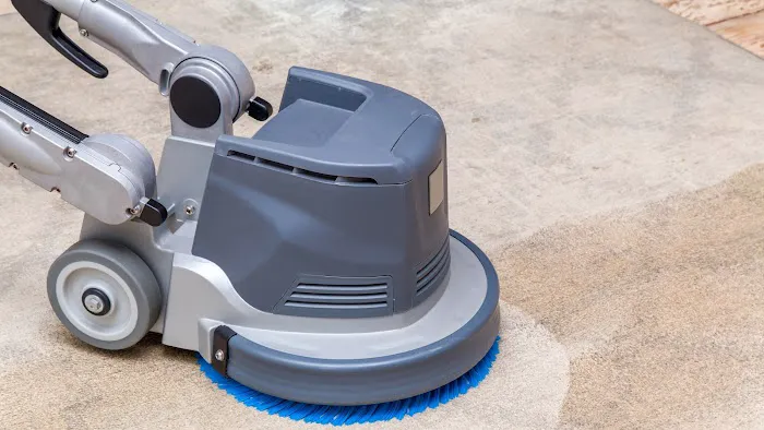 Carpet Bronx Picture 2