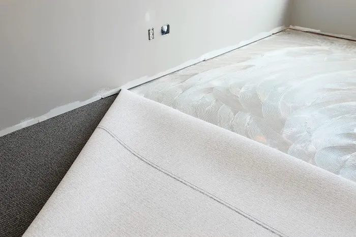 Carpet Bronx Picture 5