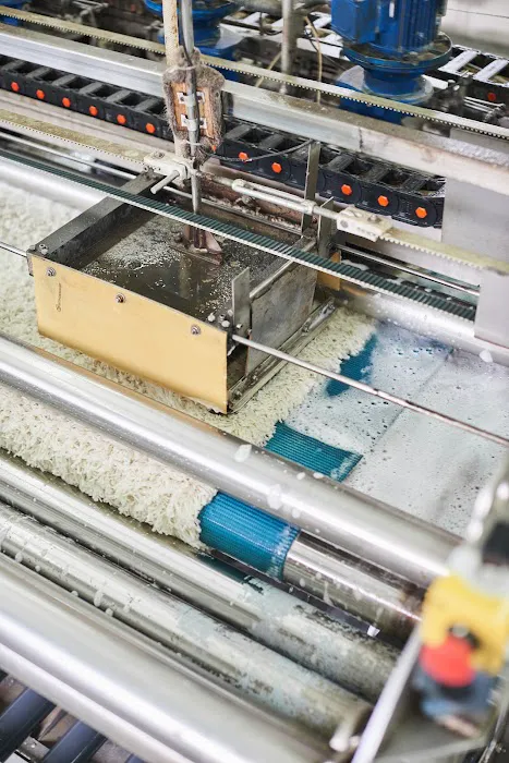 Carpet Bronx Picture 9