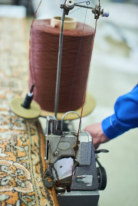 Carpet Bronx Picture 8