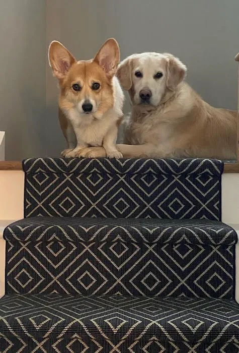 The Carpet Girl LLC Picture 8