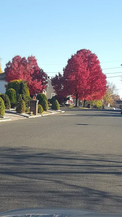 Karen's Carpets Picture 1