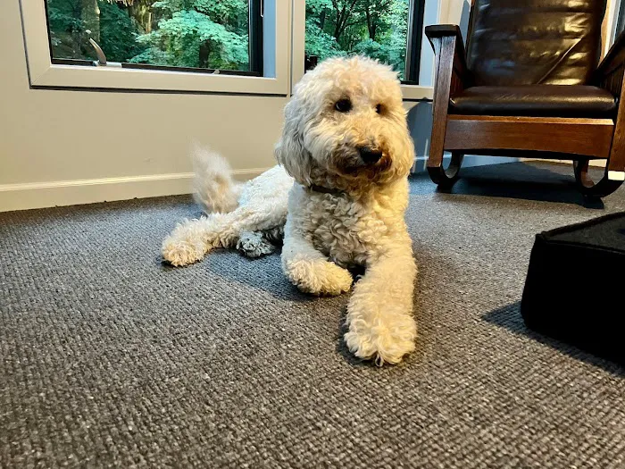 Michael's Carpet & Flooring Picture 5