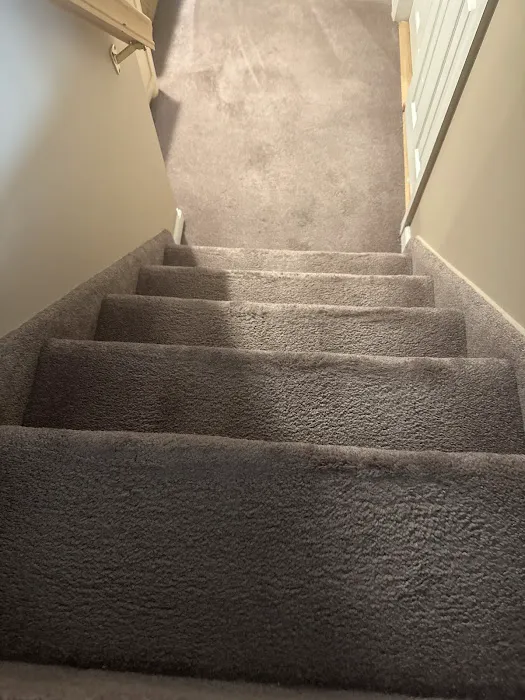 Campbell's Carpet & Service Picture 5