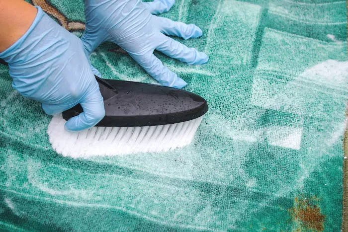 Long Island Carpet Picture 4