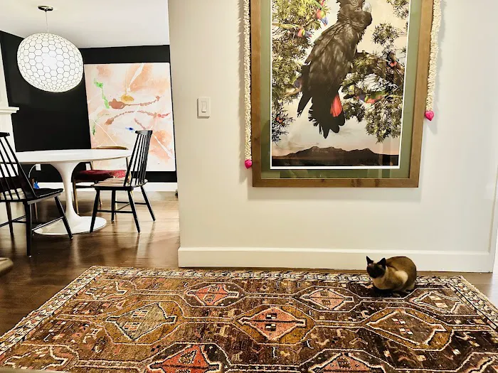 BestRugPlace Picture 4