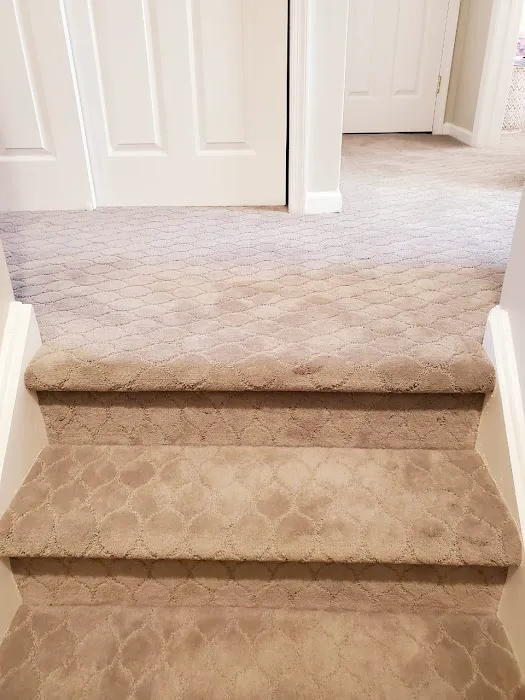 L&L Carpet Picture 4