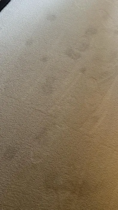 Radiant Carpets & Rugs Picture 3