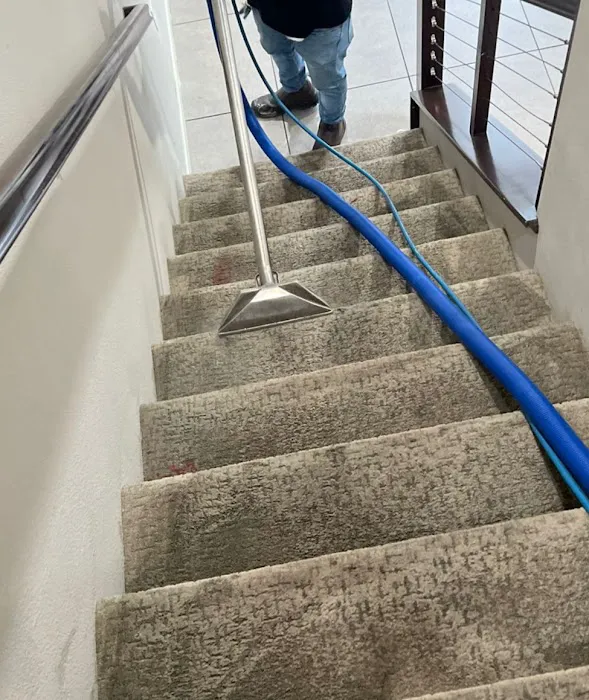 Radiant Carpets & Rugs Picture 9