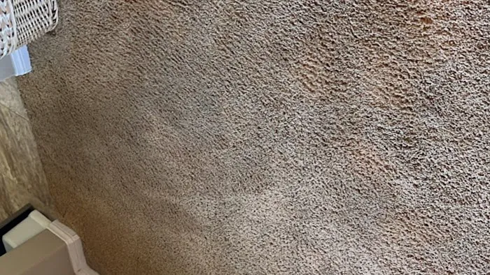 Radiant Carpets & Rugs Picture 2