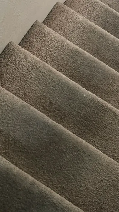 Radiant Carpets & Rugs Picture 6