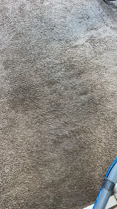 Radiant Carpets & Rugs Picture 7