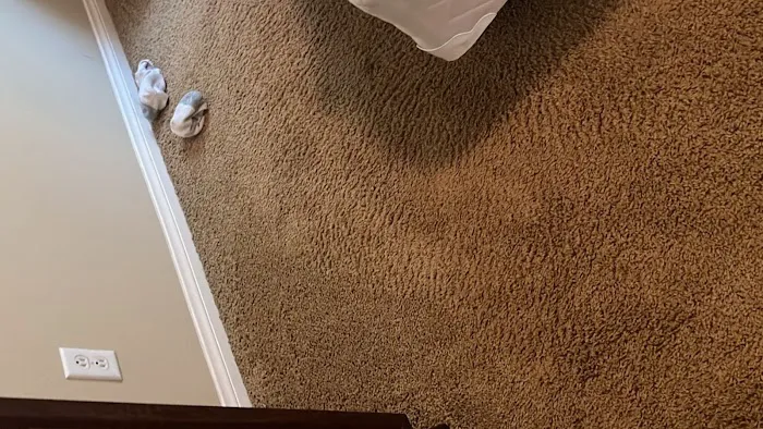 Radiant Carpets & Rugs Picture 1