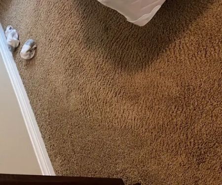 Radiant Carpets & Rugs