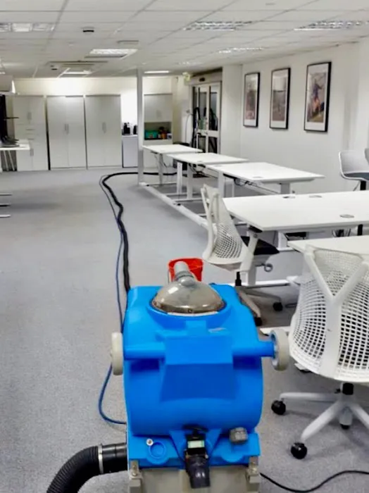 Radiant Carpets & Rugs Picture 5