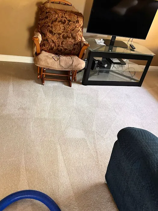 Radiant Carpets & Rugs Picture 8