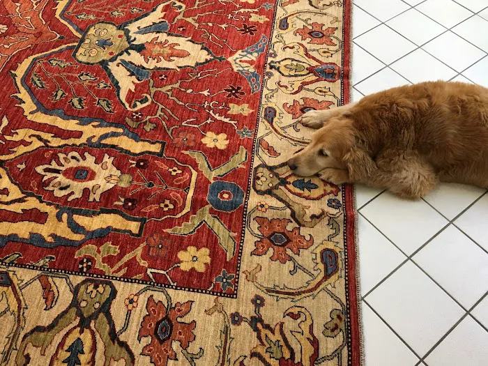 Princeton Rug Gallery Picture 4