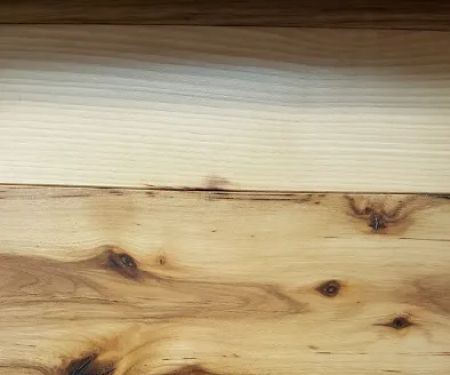 Orange Carpet & Wood Gallery