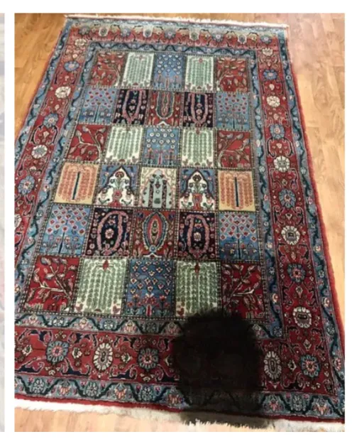 Baseer Rug cleaner Picture 2