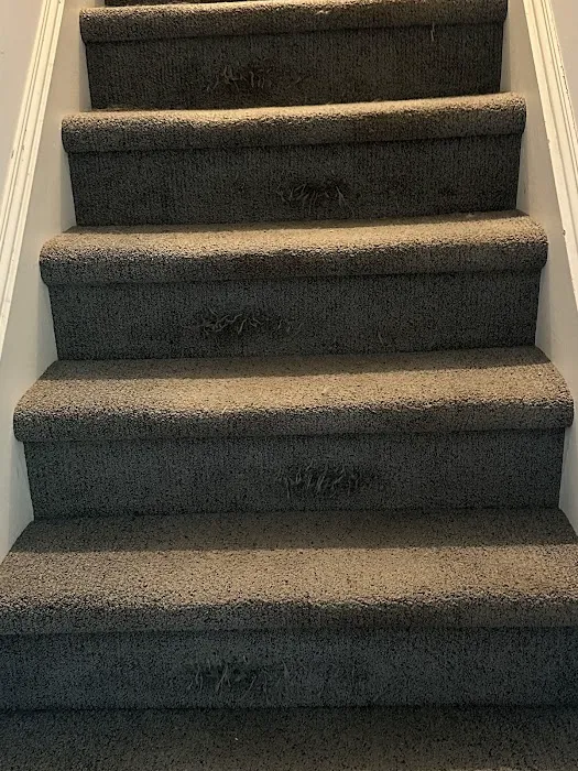 Carpet World of Westchester II Picture 3