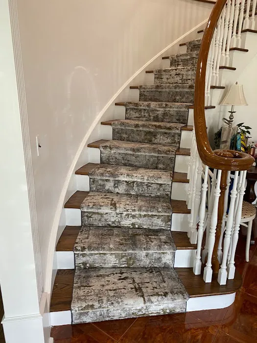 Father Sons & Daughters Floor Covering Picture 10